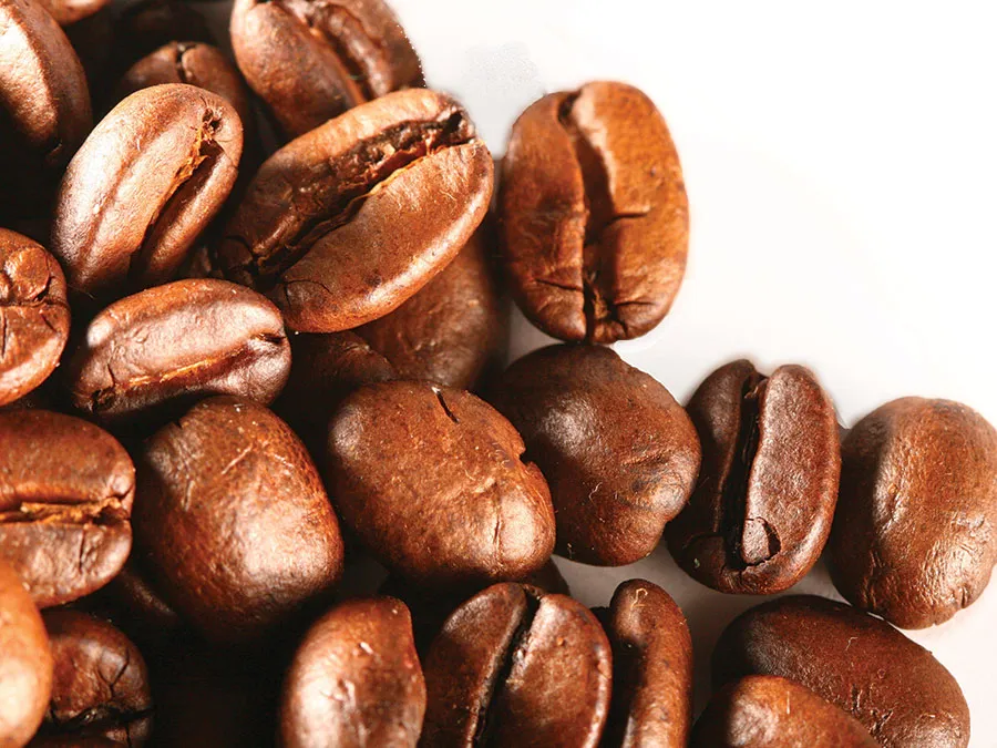 Decaf | Medium Roast