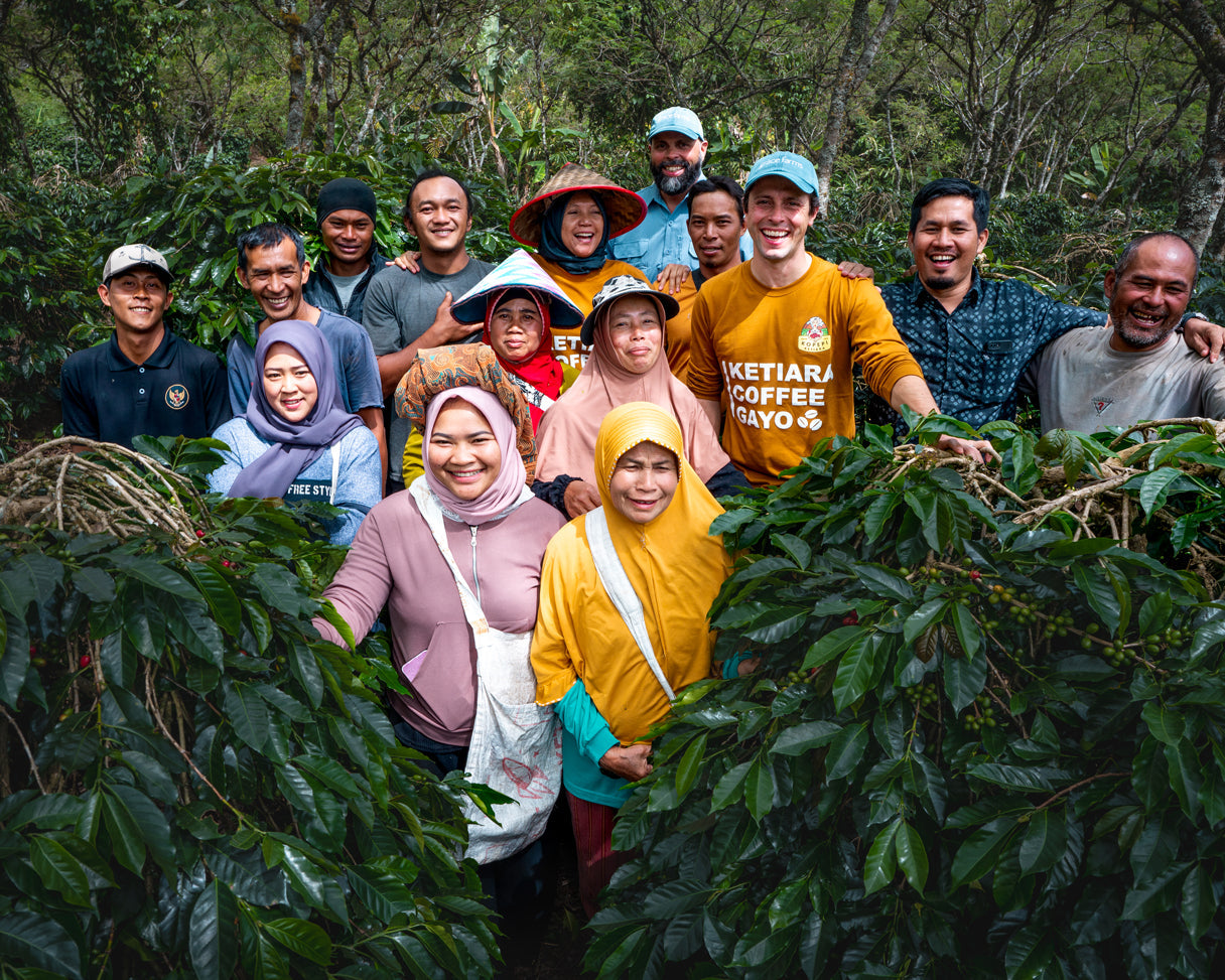 Indonesia Cold Brew Coffee