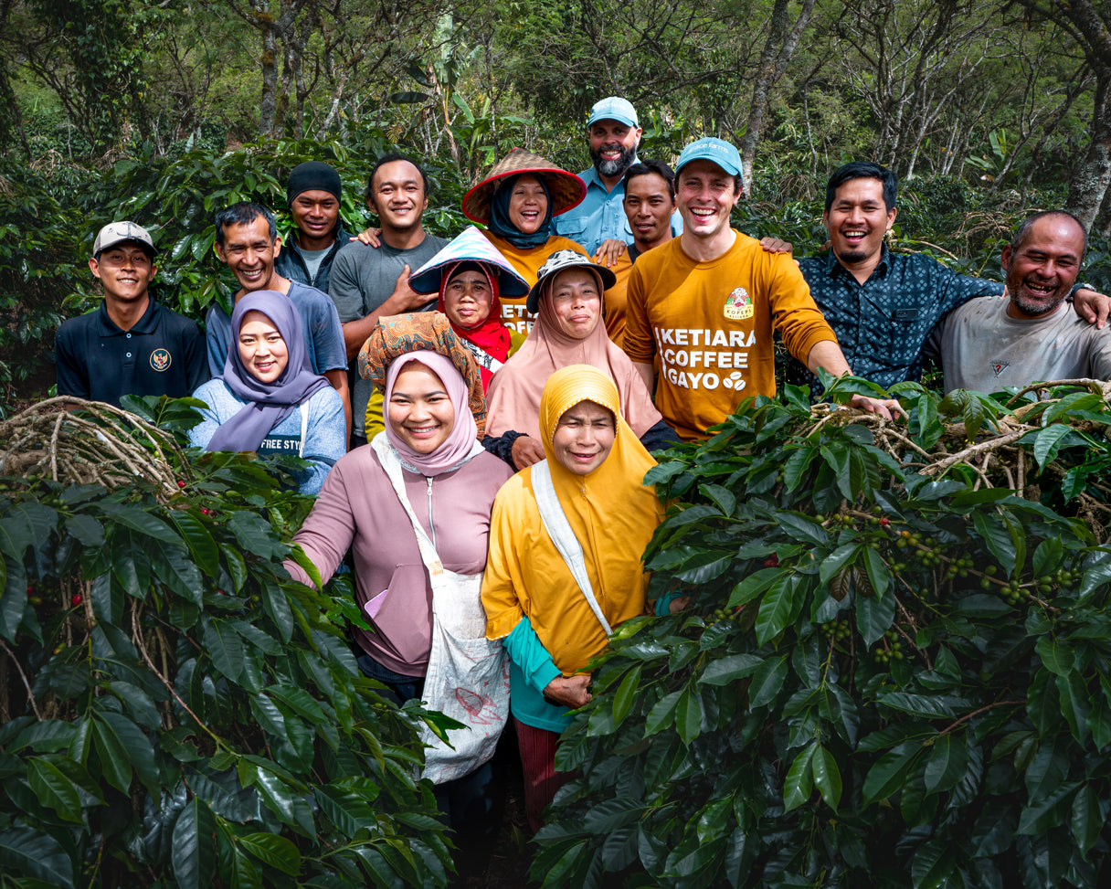 Single Origin Indonesia | Dark Roast